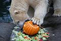 2015-10-22 06-32-22 (2)